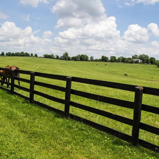 Black farm fence in pasture