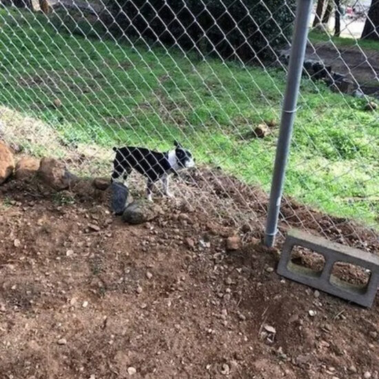 Chain link fence installation yard