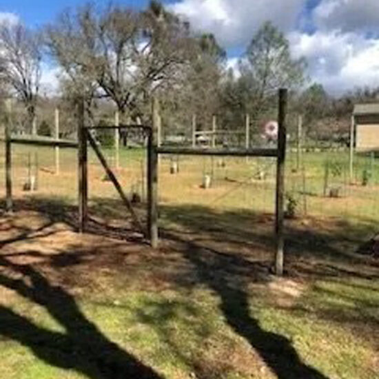 Wire fence installation with gate