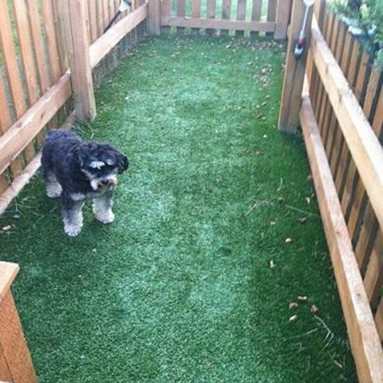 Wood fence installation with gate